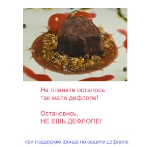 текст при наведении